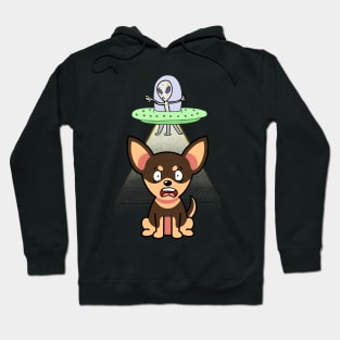 Cute small dog is abducted by aliens Hoodie